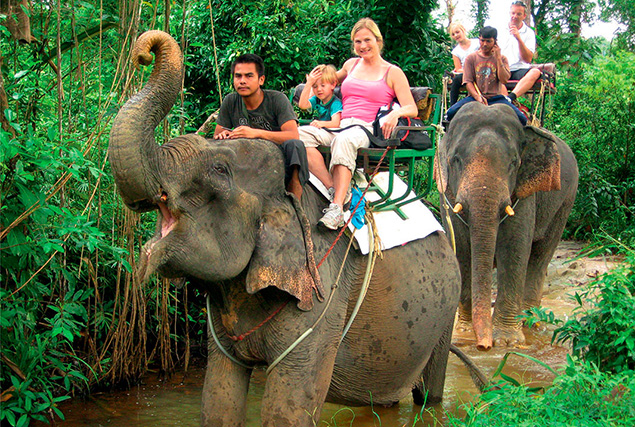 Национальный парк Као Лак. Сафари на слонах. 