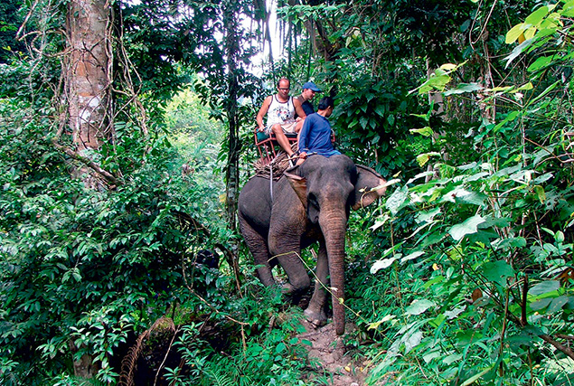 Провинция Пханг Нга & рафтинг. Сафари на слонах 30 мин